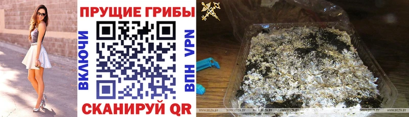 Галлюциногенные грибы Magic Shrooms  Купить закладки  Ижевск 